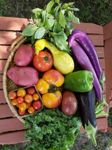 grow-a-row - p1 - bountiful harvest