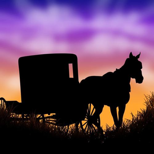 071026-ynt-news-amish-cook-p1