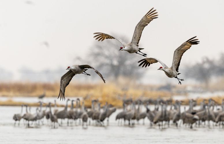 EF20200310_0723 rgb.jpg