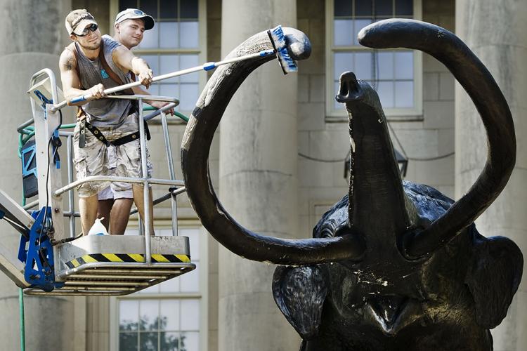 Archie at Morrill Hall