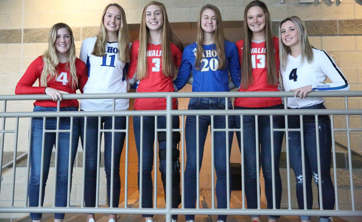 All-Area Volleyball