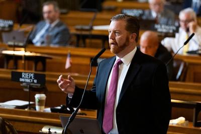 Legislature, 8.13 (copy)