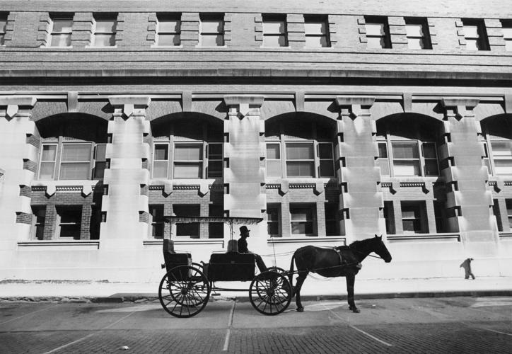 Jobbers Canyon carriage tour (web)