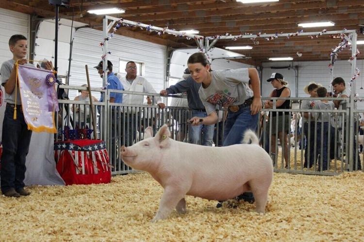 Scotts Bluff County buyers back 4-H and FFA members at annual livestock sale
