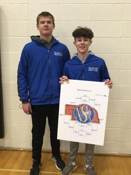 Bluejay wrestling
