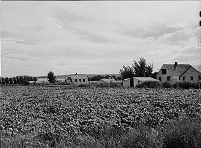 From beet fields to hometowns: Immigrants helped build the Panhandle