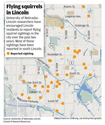 WEB_ONLY_#16979_102923_Flying squirrels in Lincoln