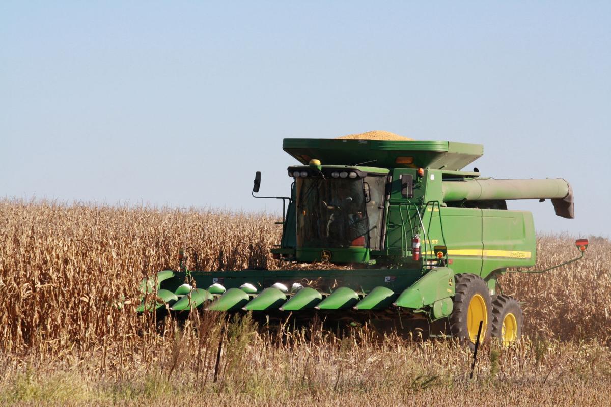 Weather aids positive crop yield outlook