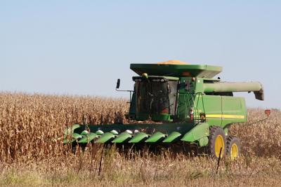 Weather aids positive crop yield outlook