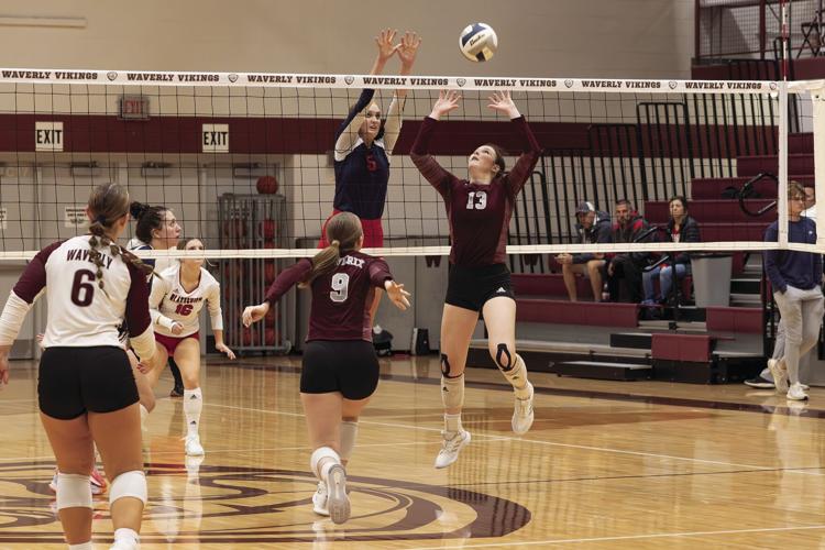 McKinley Moser(1).jpg