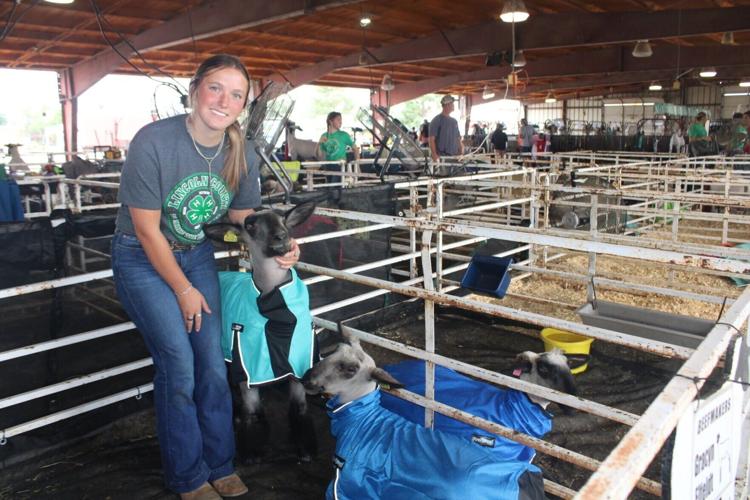 Farm first, table later for Lincoln County Fair sheep and goats