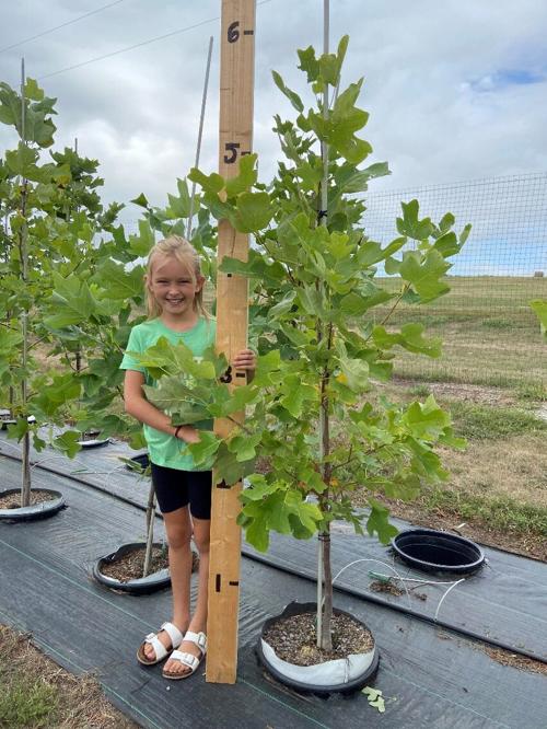 Great Plains Nursery