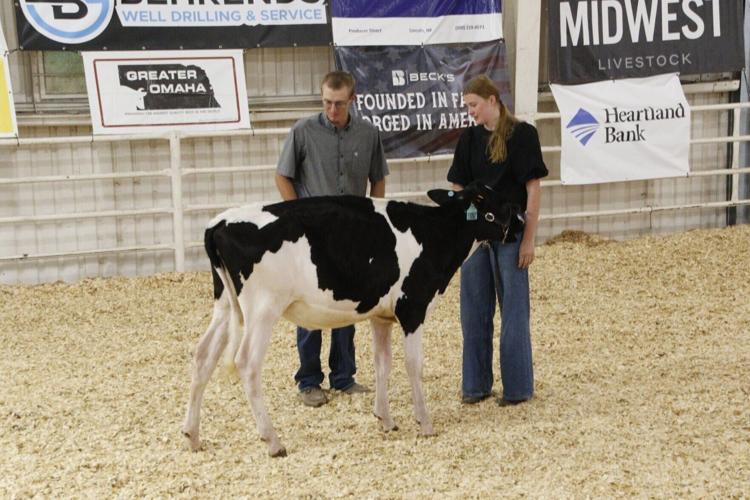 dairy show
