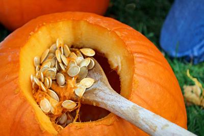 Don’t throw them out: How to make simple, sweet and salty pumpkin seeds