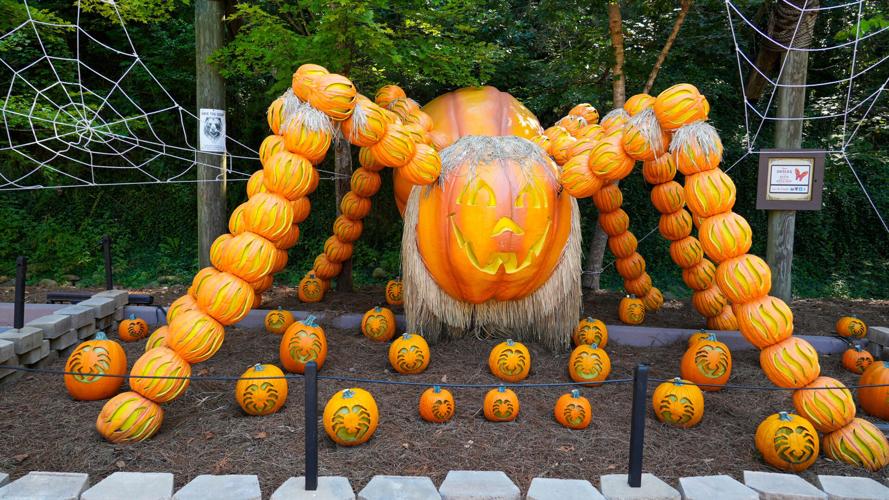 Harvest Festival at Dollywood.
