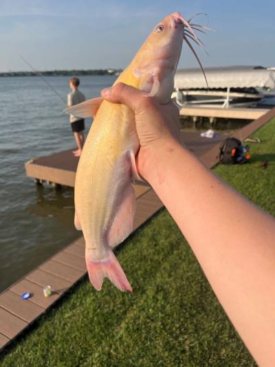Rare Catfish