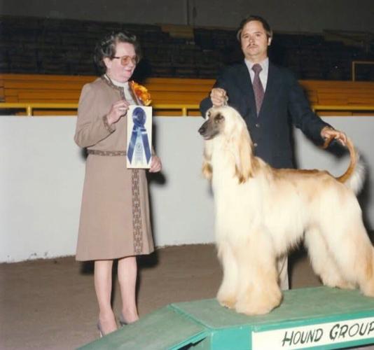 dogshow2