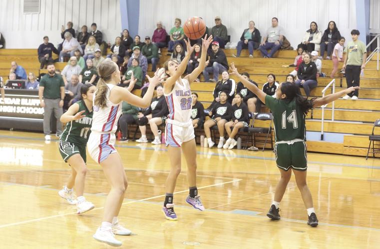 Addisyn Sweeney(1).jpg