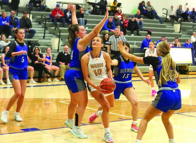 Gretchen Seagren(1).jpg