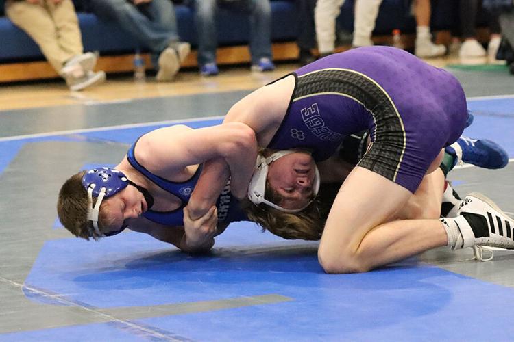 Bluejay wrestling