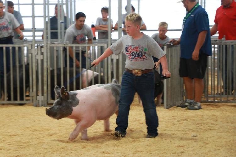 PHOTOS: Scotts Bluff County Fair Market Swine and Swine Showmanship 2026