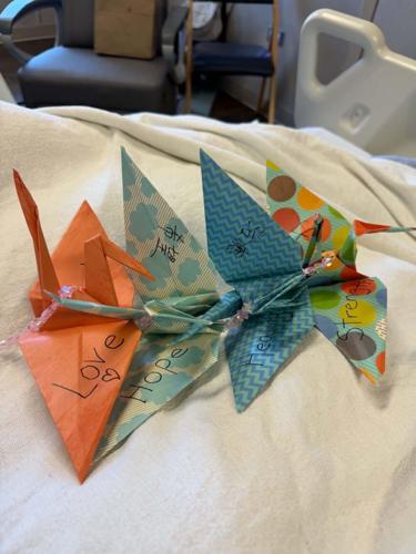 Cranes for Sam
