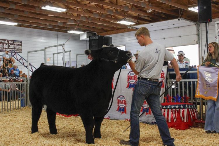 Scotts Bluff County buyers back 4-H and FFA members at annual livestock sale