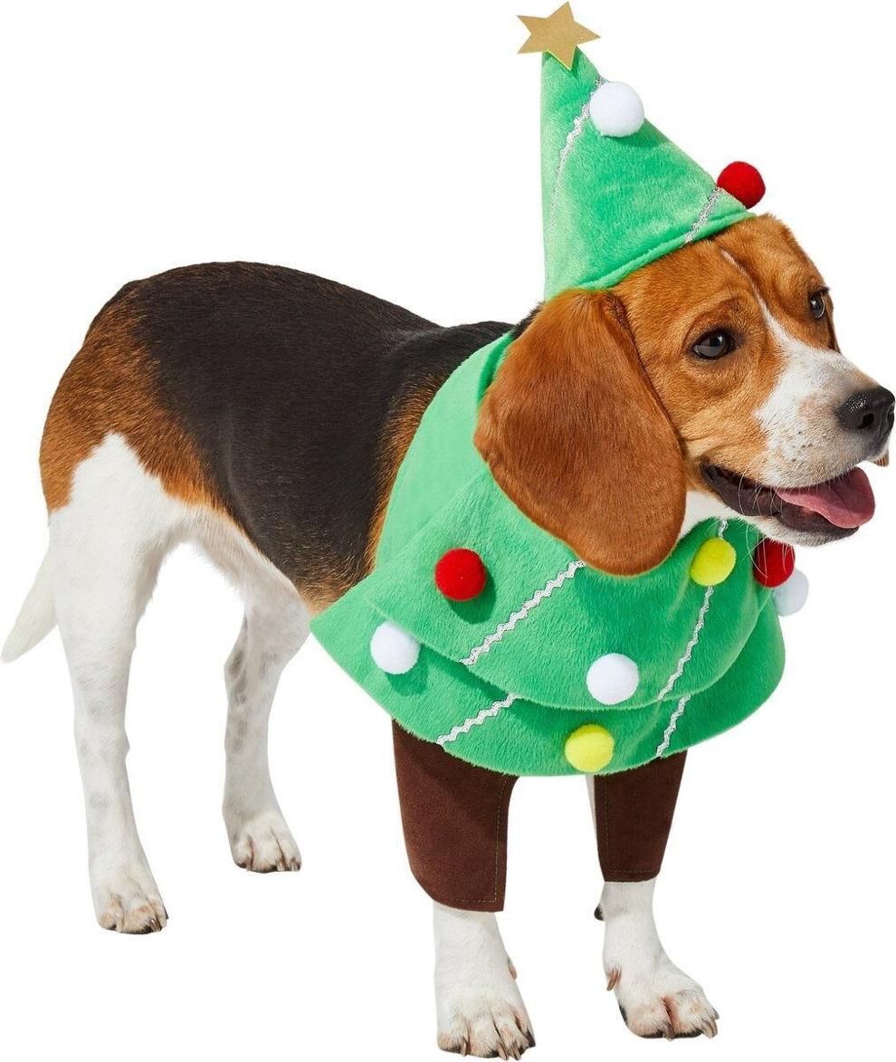 5 adorable Christmas outfits for your dog