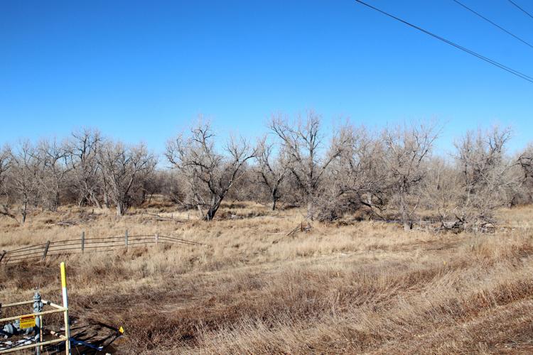 As Colorado eyes asserting water rights on the South Platte River, Nebraska looks at securing its own