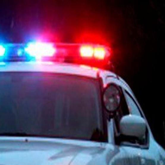 House police. As soon as they realized their car steal they Called the Police.