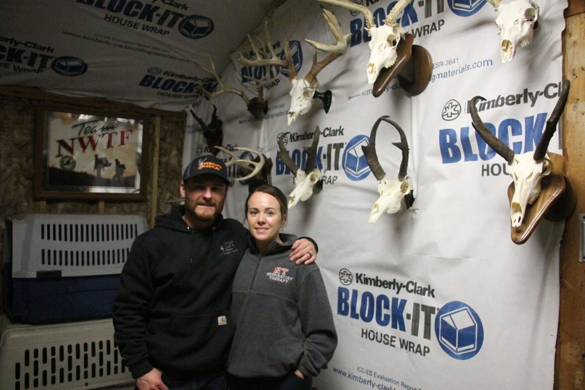 Beetles clean animal skulls for mounting