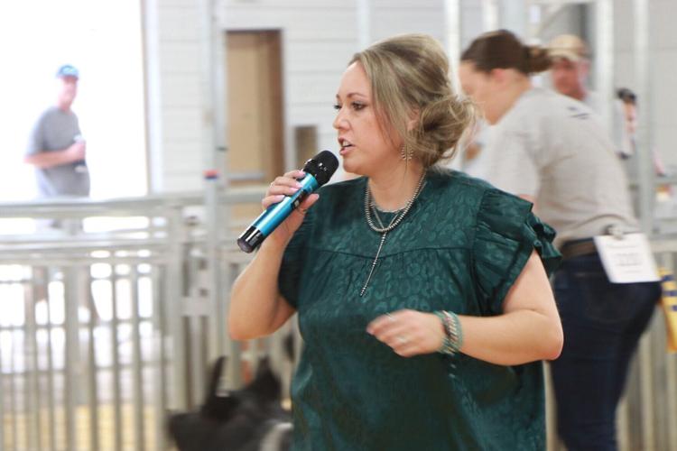 PHOTOS: Scotts Bluff County Fair Market Swine and Swine Showmanship 2026