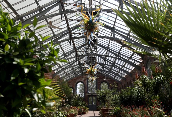 Glass artist Chihuly will bring ‘most ambitious' exhibition to Missouri Botanical Garden