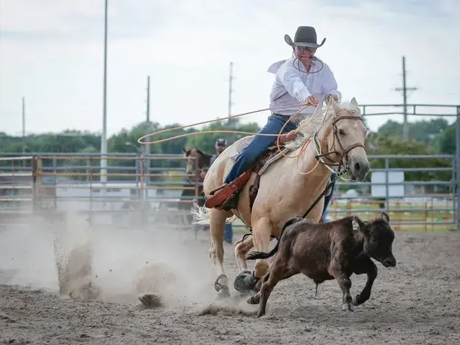 buffalo-county-fair-p3 - calf roping
