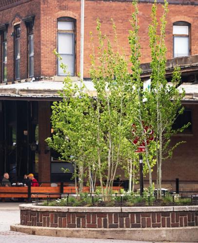051426-oldmarket-cm-04