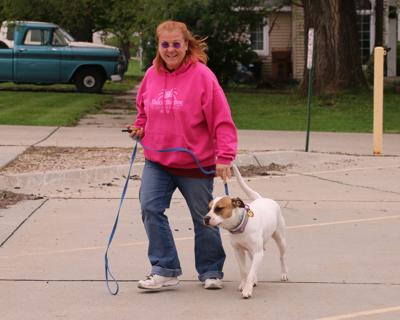 Good Decisions Dog Training