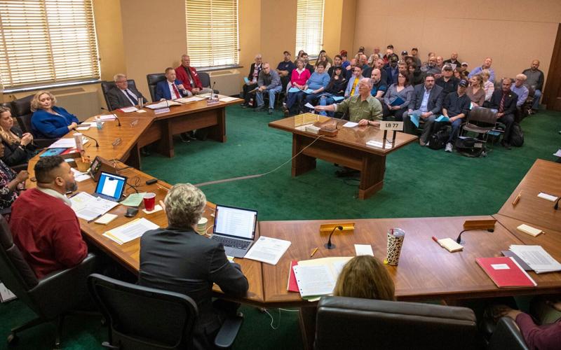 Guns hearing, 1.26 (copy)