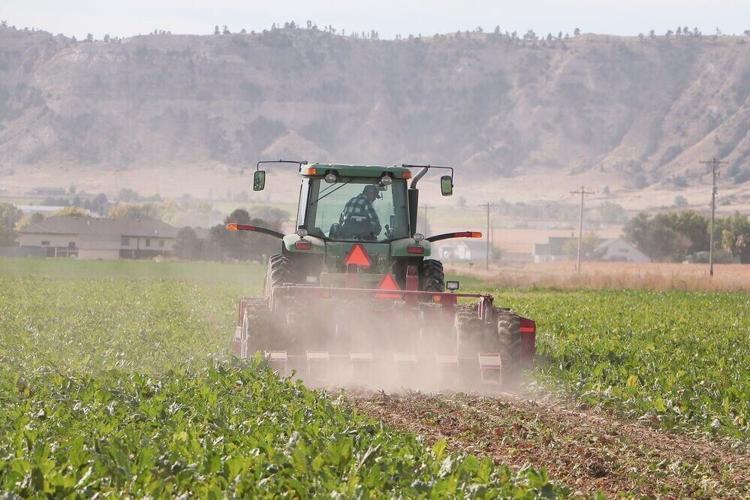 From beet fields to hometowns: Immigrants helped build the Panhandle