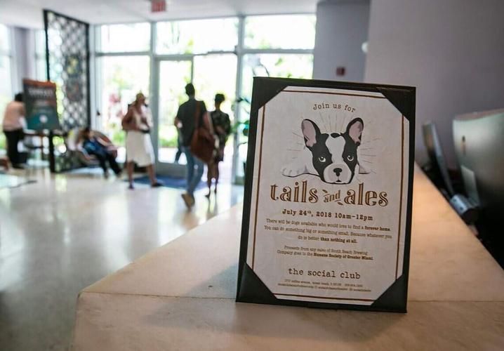 The Kimpton Surfcomber Hotel in Miami Beach is a pet friendly hotel that allows their employees to bring their dogs to work, Friday, July 20, 2018.