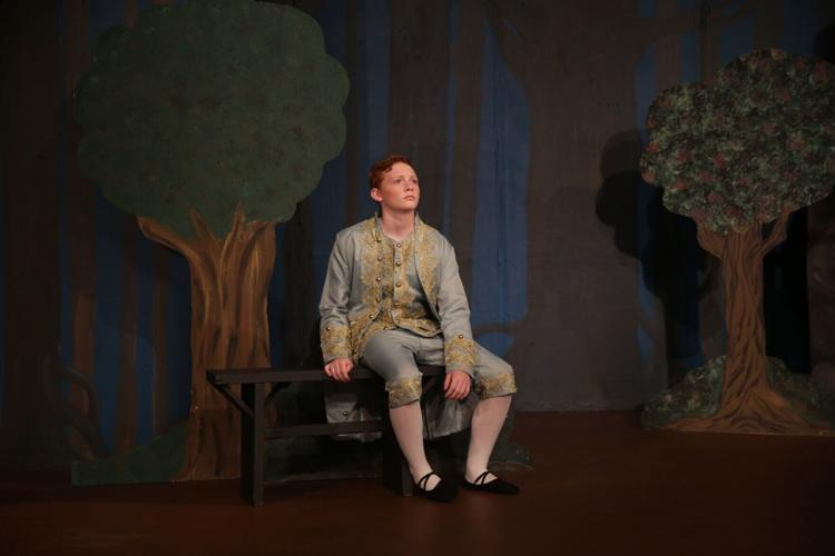Rapunzel's Prince