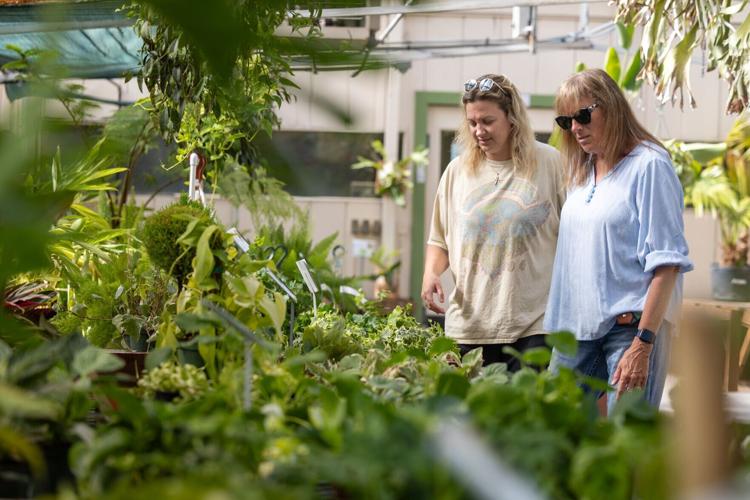 Campbell's Nurseries Location closing, 6.12