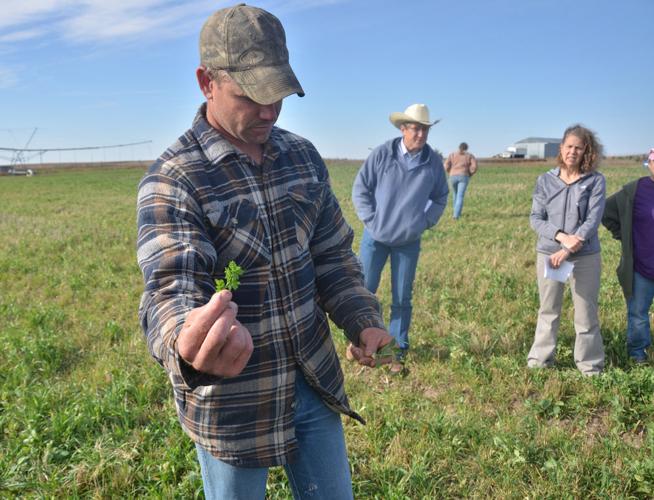 Farm and Ranch: Top Photos of 2017