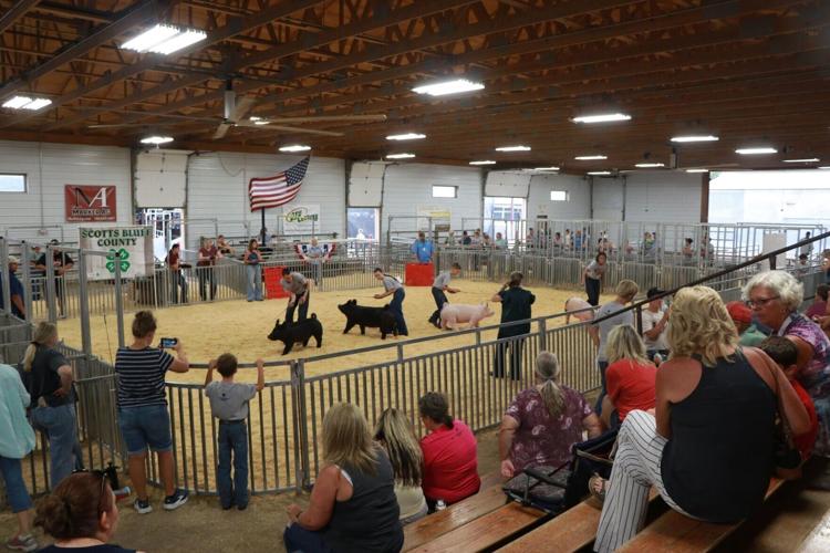 PHOTOS: Scotts Bluff County Fair Market Swine and Swine Showmanship 2026
