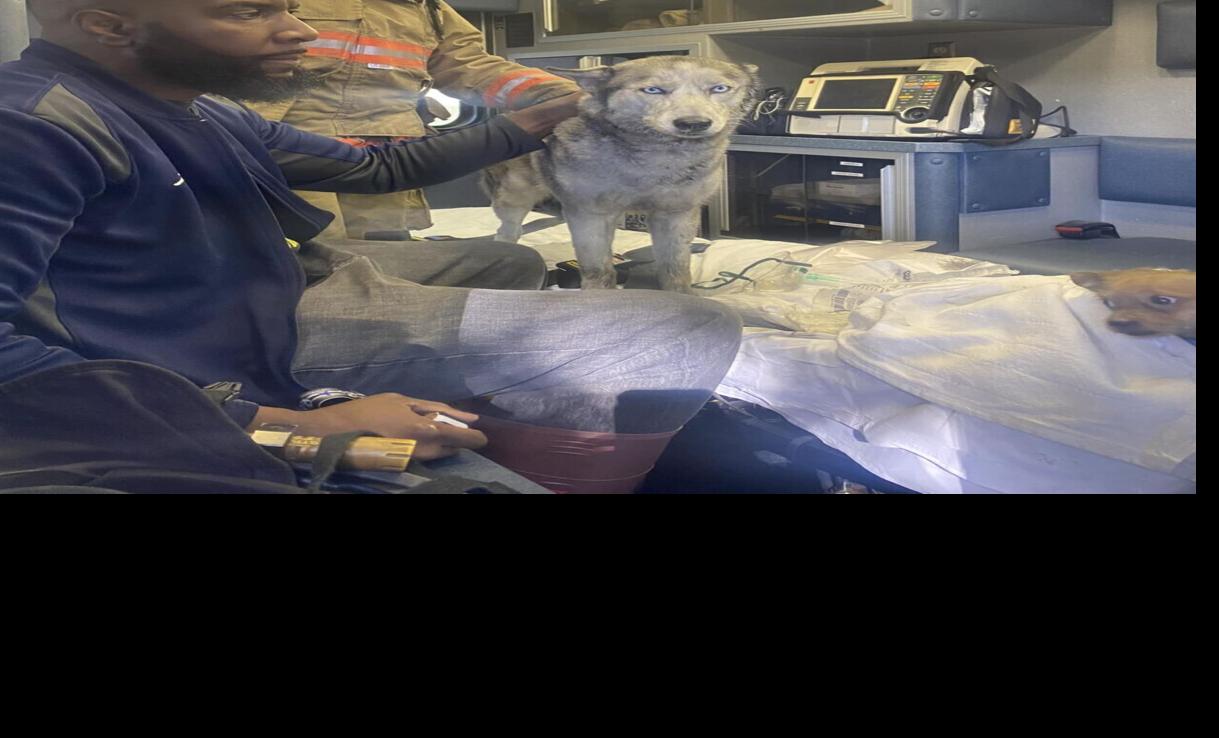 Gibbon firefighters save dog