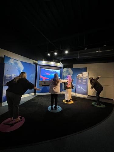 Museum Fight Photo 7.jpg