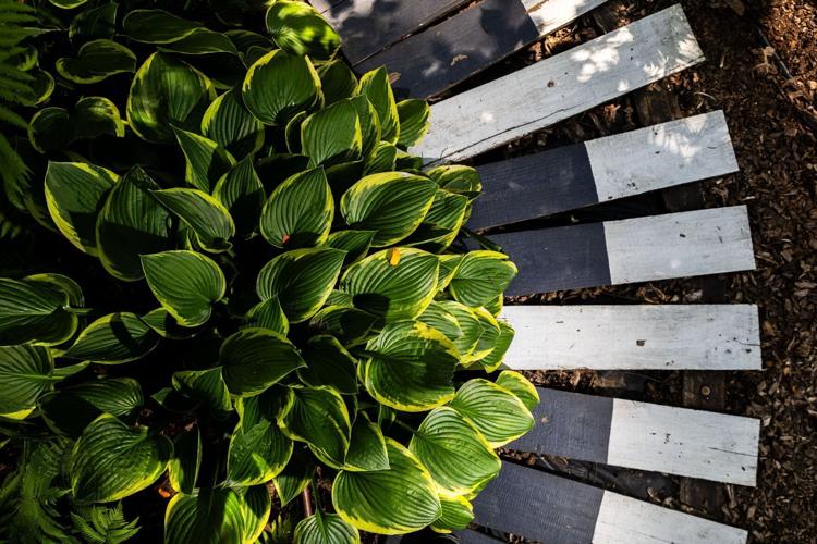 070923-owh-liv-marjgardenco-pic-cm02