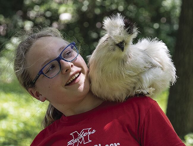 Poultry Pals