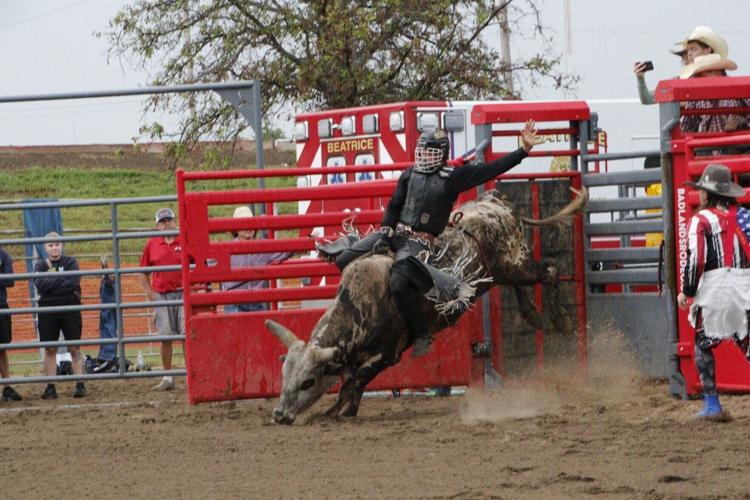 bull riding 2