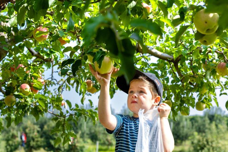 AppleJack Festival 2023