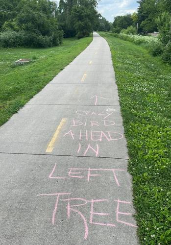 Winged Menace Chalk Signage